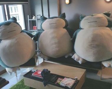 《買了卡比獸差點被離婚》因為送來的卡比獸這~麼大(驚恐)