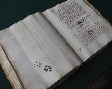 《貓腳印的歷史》原來從這麼久以前喵星人就開始打擾人類啦ww（踩）