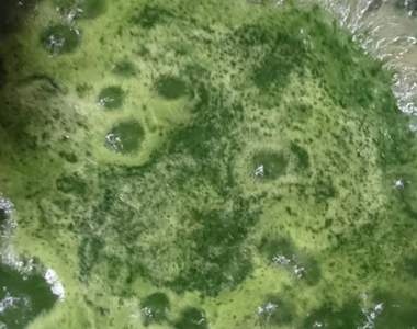 推特《魔女鍋》火鍋還是顏色單純一點好...