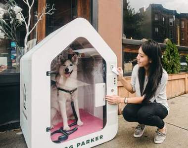 遛狗好幫手《托狗屋》即使禁止寵物進入的地方也能讓狗狗得到暫時的照顧