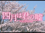 《四月是你的謊言真人化》特報 究竟還原度如何呢?請評分~ 《四月是你的謊言真人化》特報 究竟還原度如何呢?請評分~