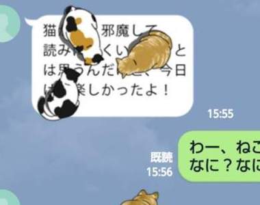 貓奴必看《霸佔對話框的貓》妨礙聊天系LINE貼圖