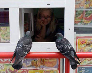 《戰鬥民族的生活方式》強者俄羅斯的日常果然跟我們很不一樣〝4〞