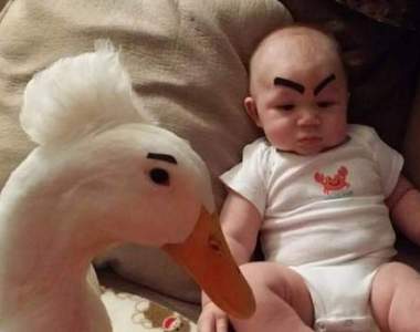 《和鴨子一起長大的小孩》開口學會第一個字竟是〝Duck〞爸媽做何感想XDD