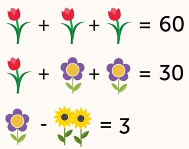 網路話題測驗《花朵加減乘除》這年頭不能用正常邏輯去思考問題？