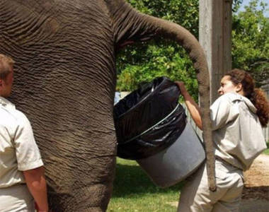 KUSO《最糟糕的工作》可以治癒你的憂鬱星期一