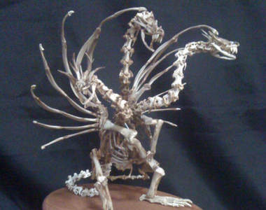 《肯德基雞骨的再利用》熬湯以外竟然還能做成骨骼模型？！