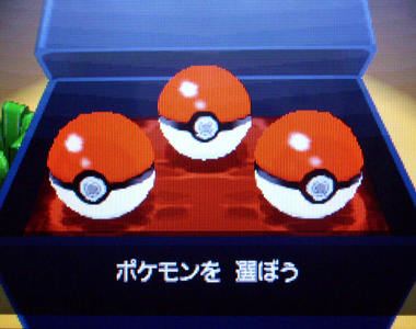 《玩家們最早選擇的寶可夢》遙想當年最早跟著你的寶可夢是？