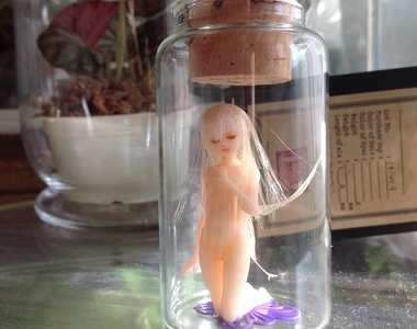 不思議的超現實《瓶中妖精》請找妖精行商人購買(遞鈔票)