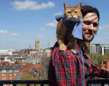 《遇見街貓Bob》電影版 倫敦流浪漢與貓的奇蹟物語