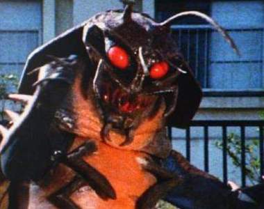 《蟑螂退治網友推薦版》這是一條看不見終點的戰爭啊～嘆