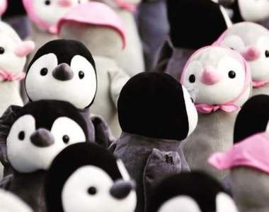 韓國期間限定《1000隻企鵝展》來這要小心爆走的少女心♥