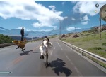 FAIRY TAIL作者《真島浩》FF15發售後兩天內破關 FAIRY TAIL作者《真島浩》FF15發售後兩天內破關