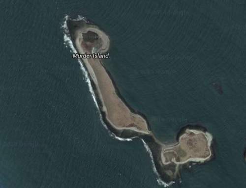 《全球最不妙的地名 TOP 10》你知道死狗之島在哪裡嗎？（抖） - 圖片7