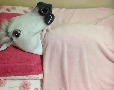 《媽媽會做的可愛事》媽咪啊～你為什麼要在我便當裡放軟糖啦QAQ