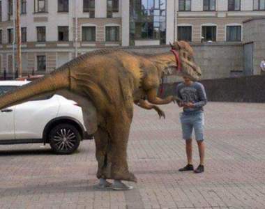 《戰鬥民族的生活方式》強者俄羅斯的日常果然跟我們很不一樣〝6〞