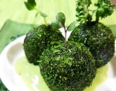 自己動手做《苔球麻糬丸子》可愛好吃又可種喔(誤)