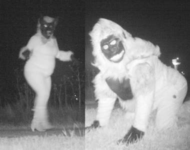 野生動物相機《拍到超有病變裝團體》原來這些都是給警局人員的驚喜啦ww