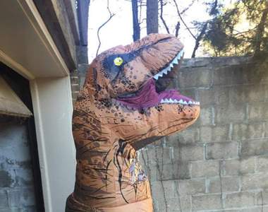 《暴龍的日常生活》網路新寵兒超瞎暴龍裝 溜冰剷雪都難不倒他