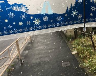 日本小7限定《迪士尼公主雨傘》看來又要掀起一股搶購潮啦