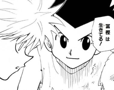 《獵人暗黑大陸篇連載再開》其實這還不是休刊最久的一次……