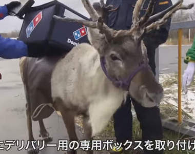 《馴鹿外送披薩》計畫中止　日本達美樂想出的替代對策竟然是...！？