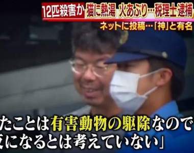 《日本虐貓狂魔落網》噴槍燒、滾水澆…殘忍虐殺貓咪拍片上網分享