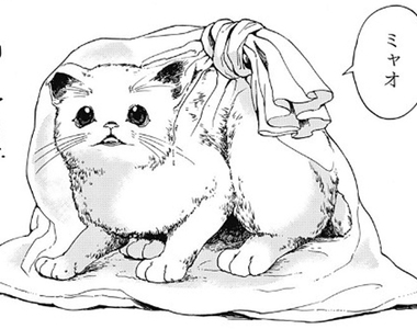 貓本崩潰《漫畫微波爐殺貓引發大炎上》比殺人的反應還要更激烈……