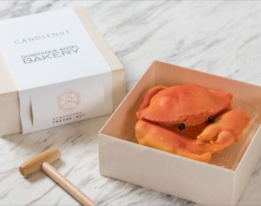 視覺與味覺的衝突《螃蟹巧克力》要敲一敲才可以享受美味喔