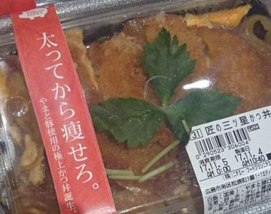 先吃胖再瘦《超狂豬排丼標語》讓你吃得毫無罪惡感(*´艸`*)