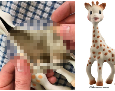 亞馬遜上《剖開蘇菲長頸鹿》風潮 地方的媽媽憤怒理由是...？