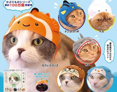 敲可愛《貓咪水族館》水中生物變成貓咪頭套依然臭臉♥