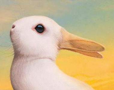 著名心理測驗《欺騙眼睛的「鴨兔錯覺圖」》竟然出現三次元真實版