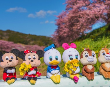 《迪士尼坐姿布偶》因應網路時代拍娃風潮「ちょっこりさん」新系列誕生