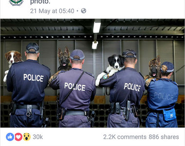 《誰說警察不會開玩笑》澳洲的波麗士大人都這麼幽默嗎？