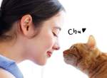貓奴必敗《貓鼻唇蜜》再現親吻貓咪鼻子時冰冰又濕濕的感覺❤ 貓奴必敗《貓鼻唇蜜》再現親吻貓咪鼻子時冰冰又濕濕的感覺❤