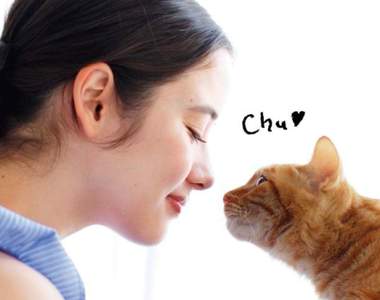 貓奴必敗《貓鼻唇蜜》再現親吻貓咪鼻子時冰冰又濕濕的感覺❤