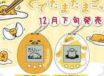 《電子蛋黃哥》可能是史上最懶的電子寵物12月發售預定 《電子蛋黃哥》可能是史上最懶的電子寵物12月發售預定