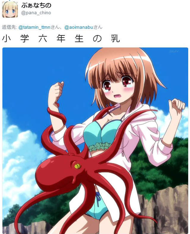 殘酷比較 未成年動畫角色的乳量 高中生輸給小學生還有救嗎 Sakai s Blog