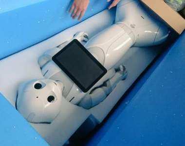 《機器人Pepper過勞死》沒想到機器人也成了黑企業的受害者...