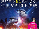 《水獺總選舉》集結全日本36間設施共84隻水獺的可愛票選激戰 《水獺總選舉》集結全日本36間設施共84隻水獺的可愛票選激戰