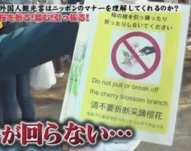 《在日本旅遊時會犯的五大NG行為》其實只要多留心標示就沒這麼多問題了