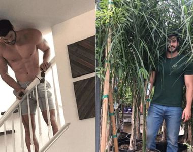 《像大樹一樣的猛男》網友表示我可以爬他嗎？