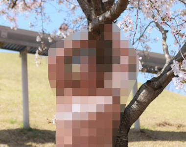 大膽露兩點《櫻花下的半裸寫真組圖》年輕肉體衝撞令人超興奮……