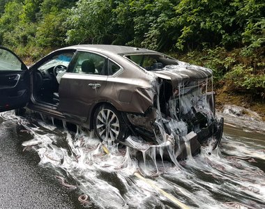 《載滿盲鰻的卡車翻覆》整條公路都是我的濕滑黏液滑水道