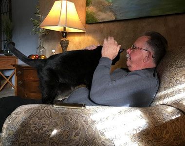 《那些說他不想養貓的人》嘴巴說不要身體倒是挺誠實的嘛～