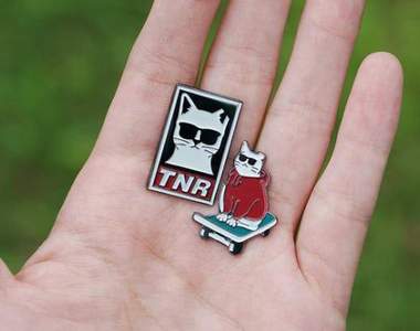 墨鏡下的傲嬌《帥氣節育喵》原來是為了生存傷痕累累的流浪貓