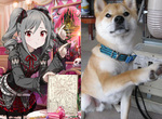 《偶像大師灰姑娘柴犬》構圖相同的愛豆乳與柴犬萌圖集 趴兔❤ 《偶像大師灰姑娘柴犬》構圖相同的愛豆乳與柴犬萌圖集 趴兔❤