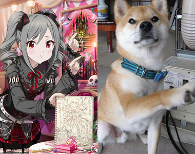 《偶像大師灰姑娘柴犬》構圖相同的愛豆乳與柴犬萌圖集 趴兔❤