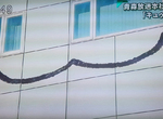 看起來毛毛的《蒼樹梅展in青森》超巨大QB等妳簽約成為魔法少女…… 看起來毛毛的《蒼樹梅展in青森》超巨大QB等妳簽約成為魔法少女……